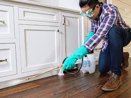 Best Real Estate Pest Inspections  in Concordia, NJ