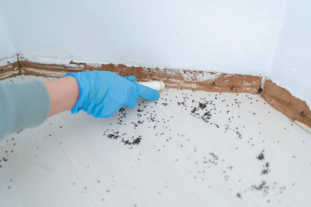 Best Pest Prevention Services  in Concordia, NJ